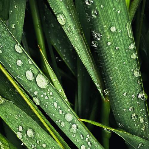 Photo #12602049