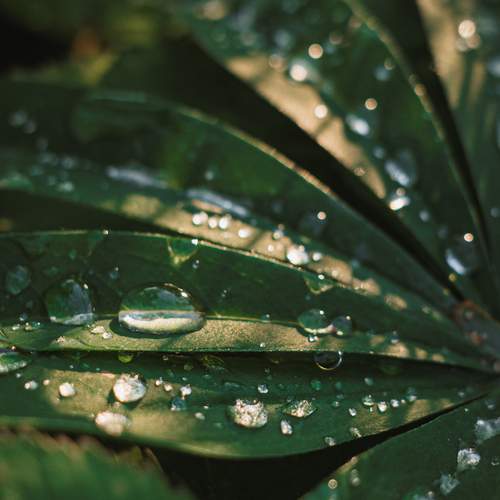 Photo #12602090