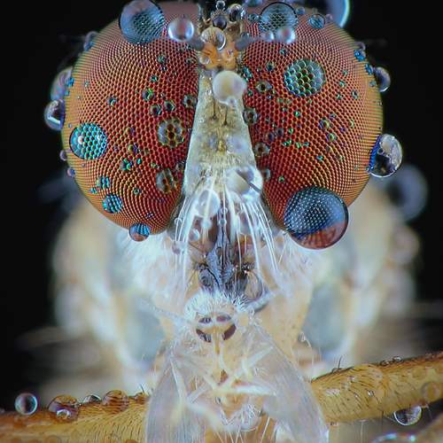 eating while bathing