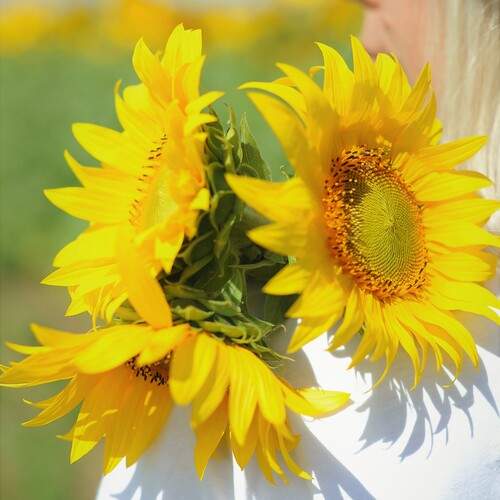 Photo #12602281