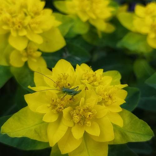 Photo #12602322
