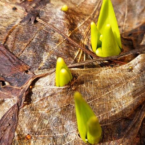 Photo #12602347