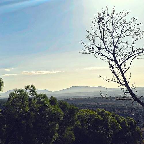 Photo #12602428