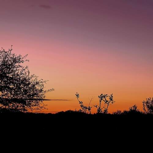 Photo #12602429