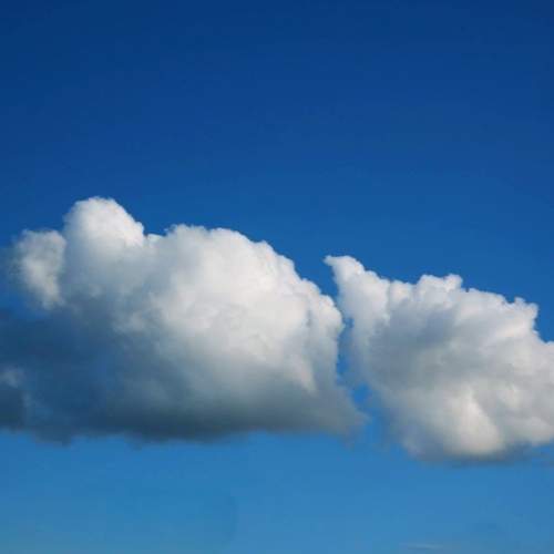 Photo #12602578