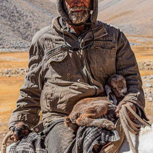Photo #12602624