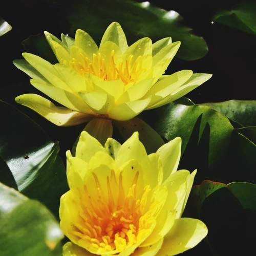 Photo #12602774