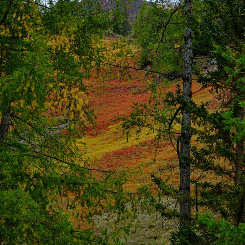 Photo #12602799