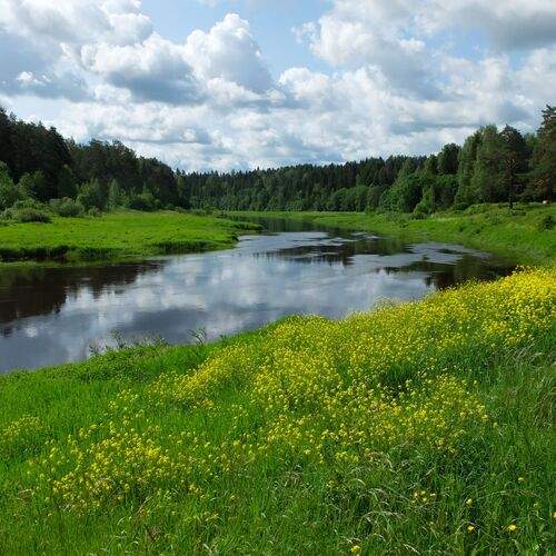 Photo #12603028