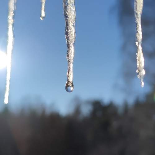Photo #12603116