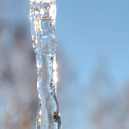 Photo #12603118