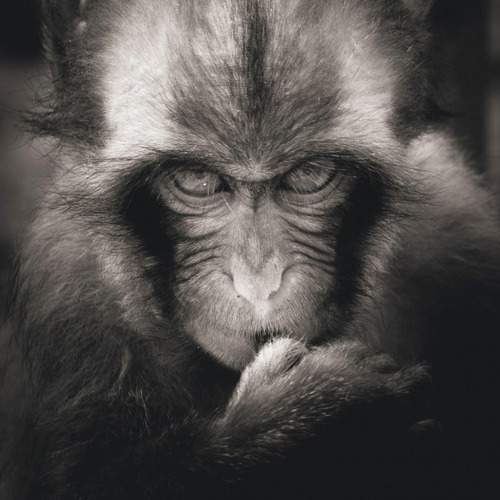 Photo #12603193