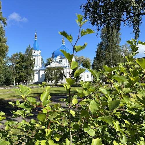Photo #12603280