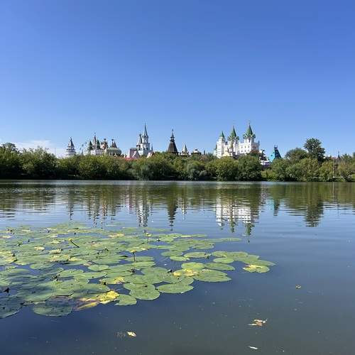 Photo #12603282