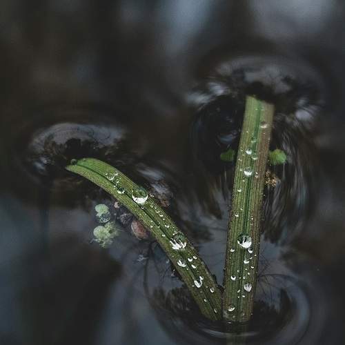 Photo #12603758