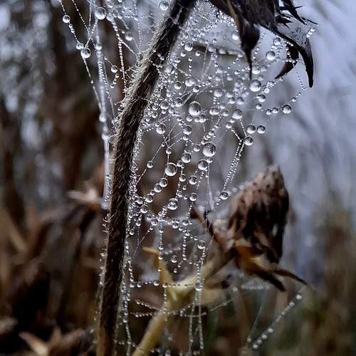 Photo #12603793