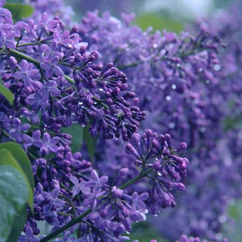 Photo #12603856
