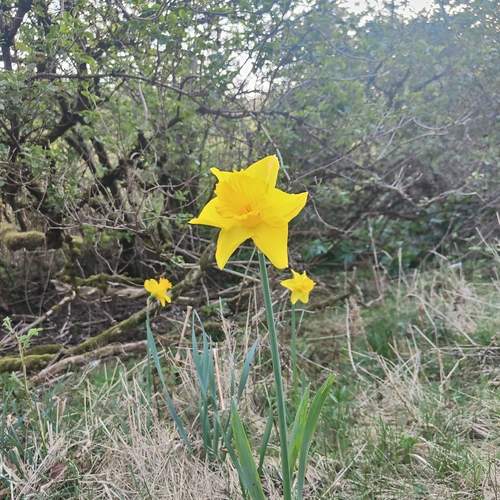 Photo #12603955