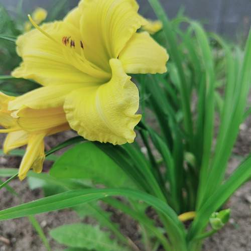 Photo #12603958