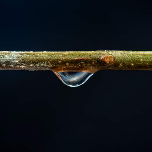 Photo #12604000