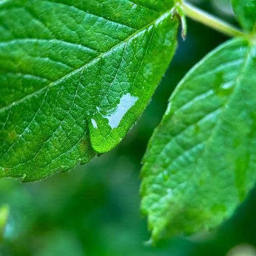 Photo #12604100