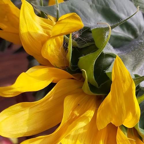 Photo #12604132