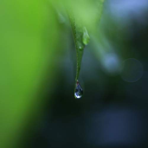 Photo #12604212
