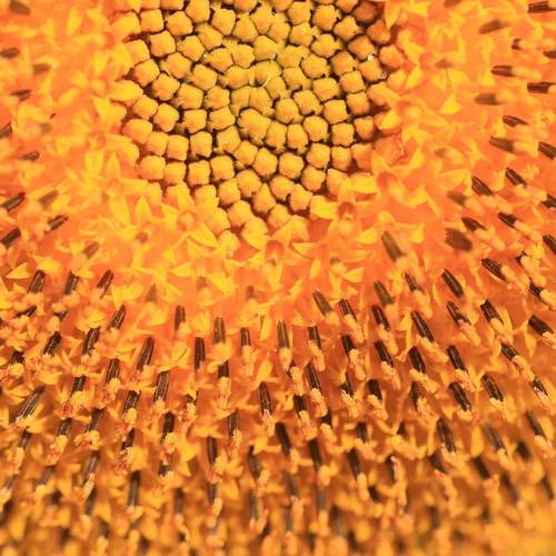 Photo #12604298