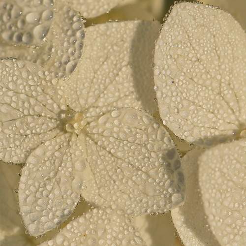 Photo #12604349