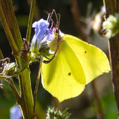 Photo #12604449