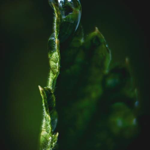 Photo #12604518