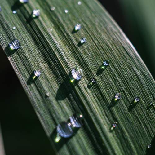 Photo #12604736