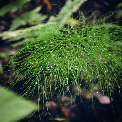 Photo #12604791