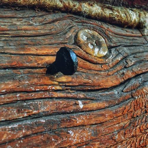 Photo #12604948