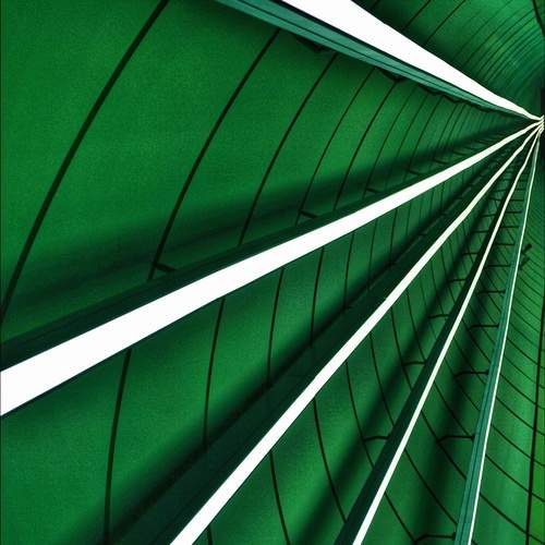 Photo #12605056