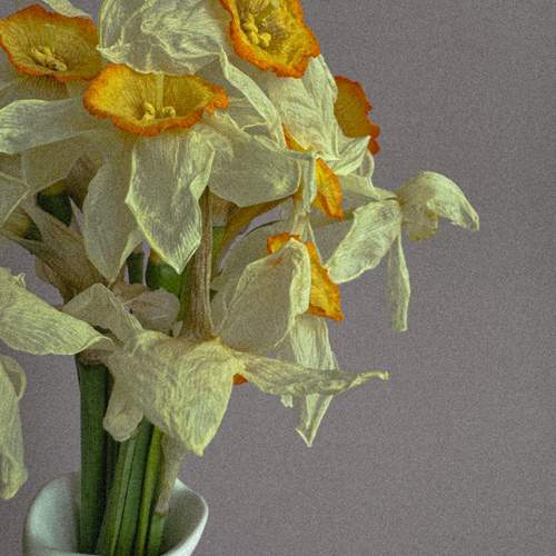 Photo #12605360