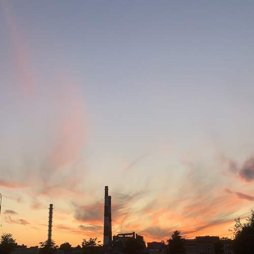 Photo #12605514