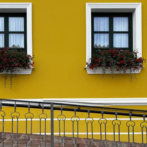 Photo #12605530
