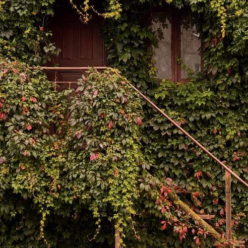 Photo #12605534
