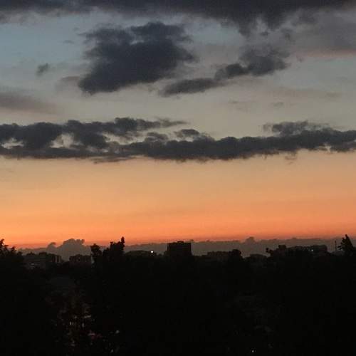 Photo #12605540