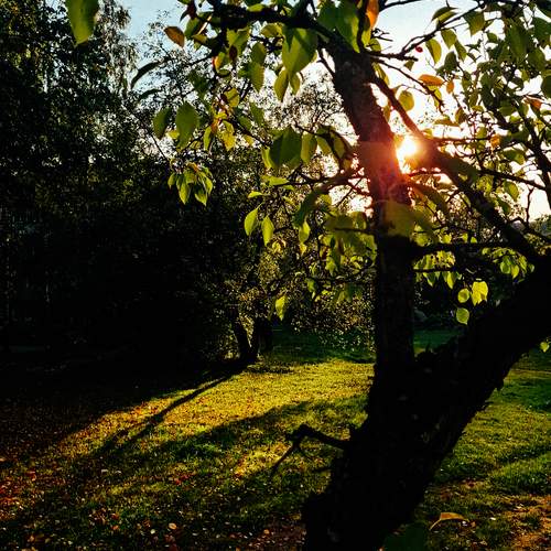 Photo #12605659