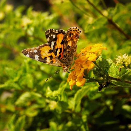 Photo #12605671