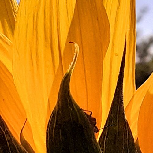 Photo #12605792