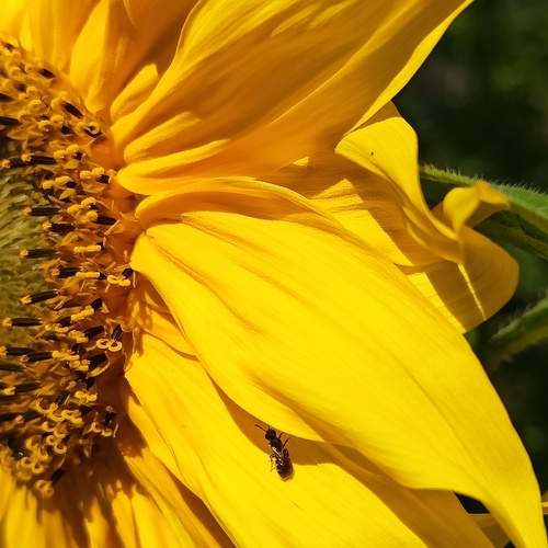 Photo #12605980