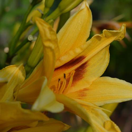 Photo #12606049