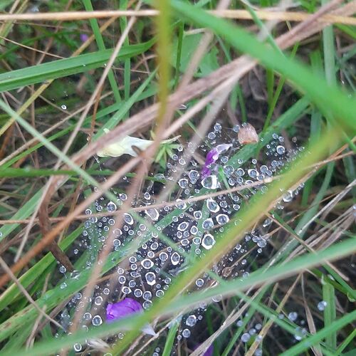 Photo #12606226