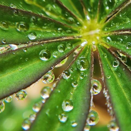 Photo #12606232