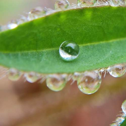 Photo #12606234