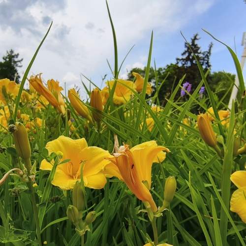 Photo #12606237