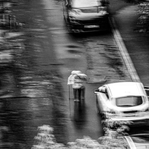 Photo #12606341